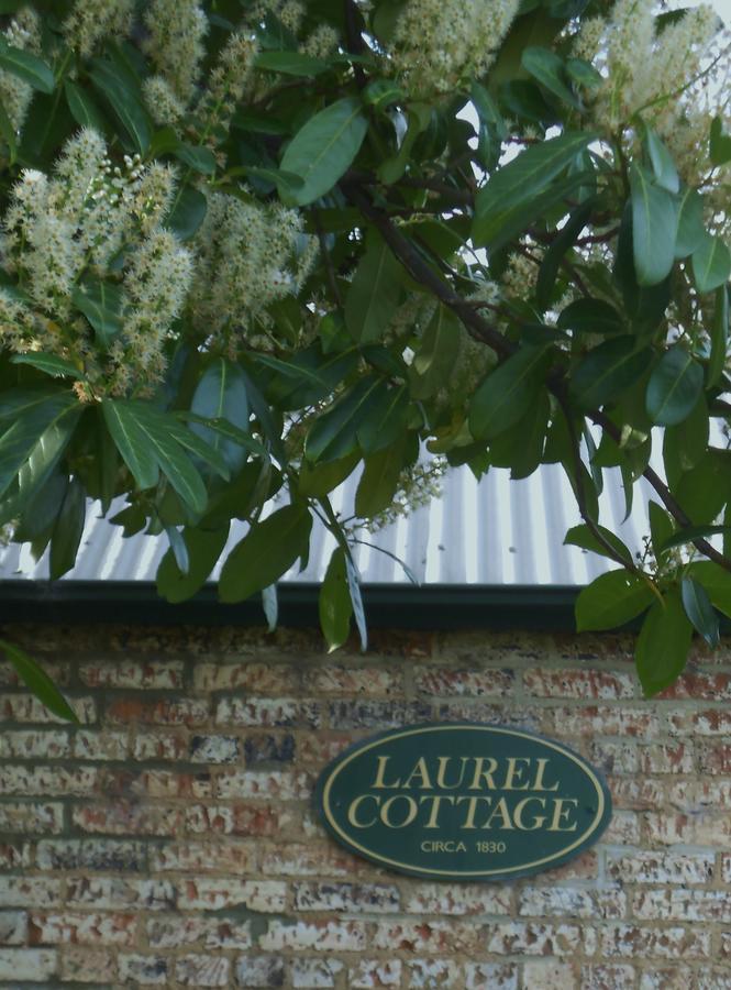 Laurel Cottage Richmond Esterno foto