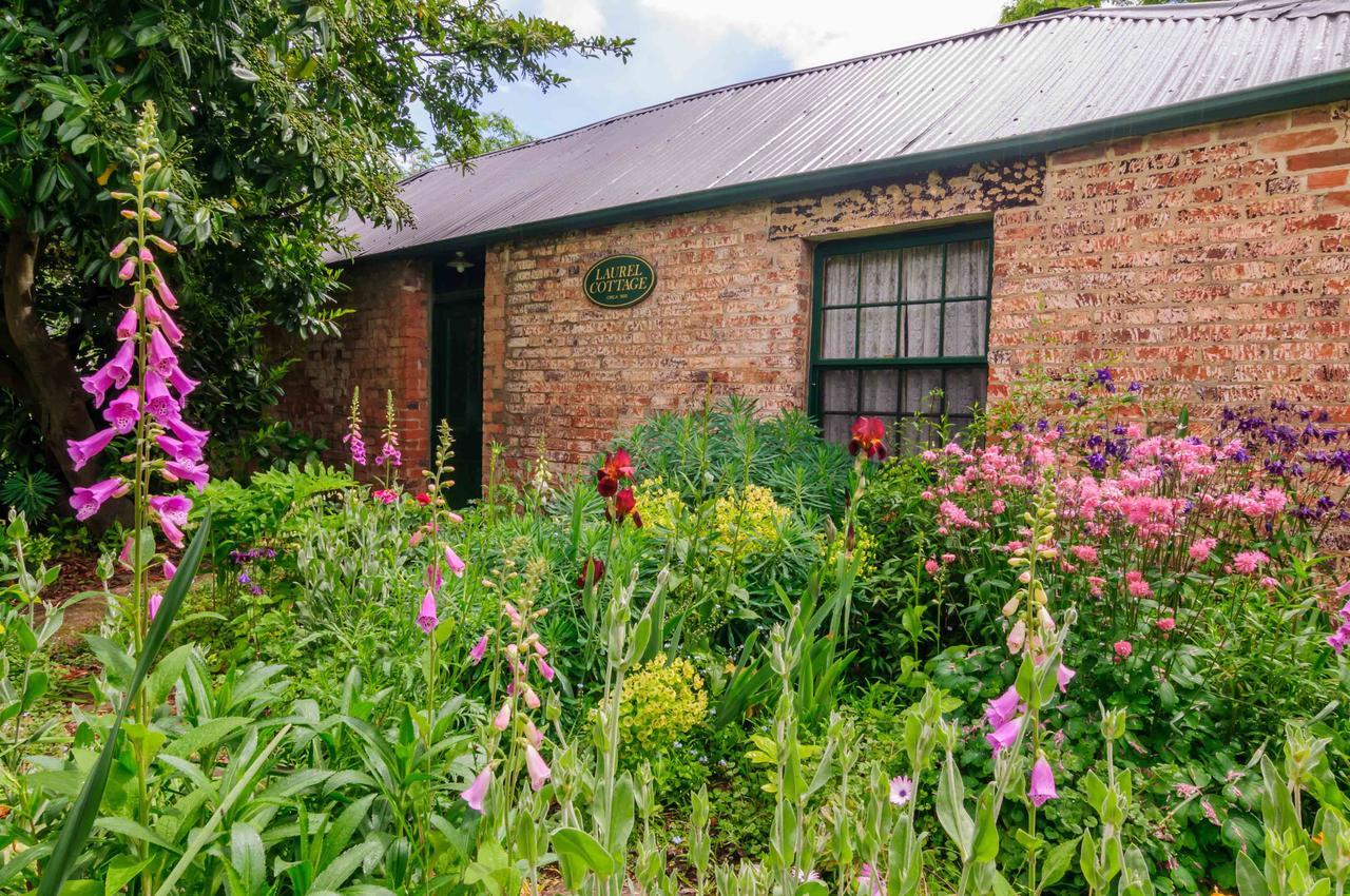 Laurel Cottage Richmond Esterno foto