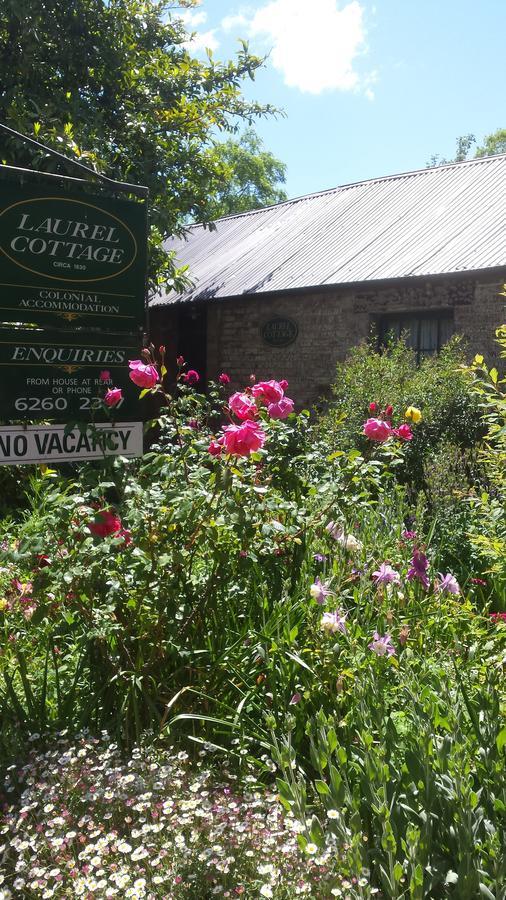 Laurel Cottage Richmond Esterno foto